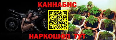ALPHA PVP Кимры