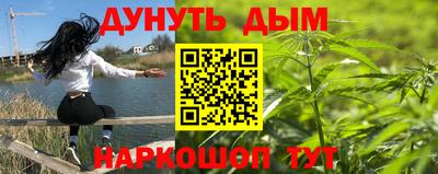 ешки Кингисепп