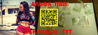 ешки Кингисепп