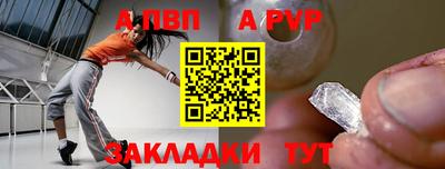 ешки Кингисепп