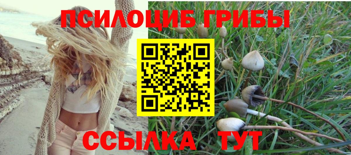 Бутурлиновка  Псилоцибиновые грибы Magic Shrooms  Вход с VPN 